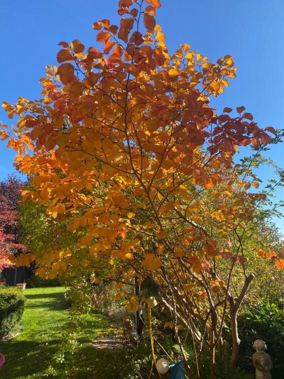 Giardino di Landhaus GRETE