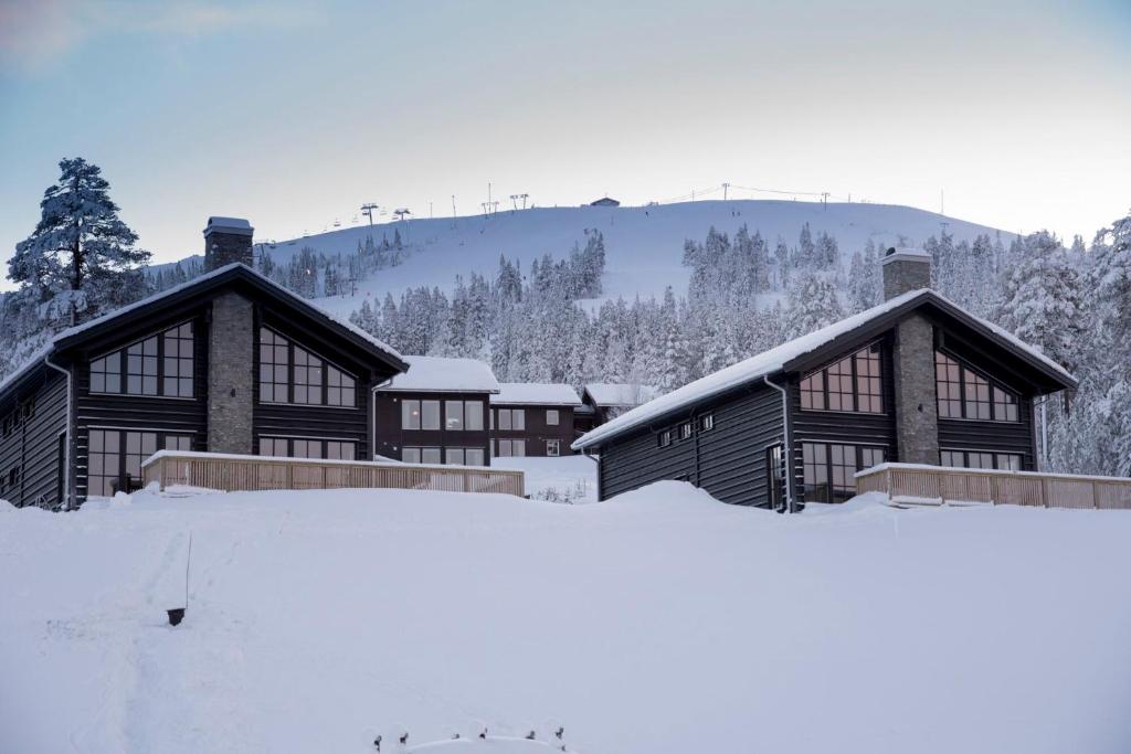 Mountain Lodge зимой