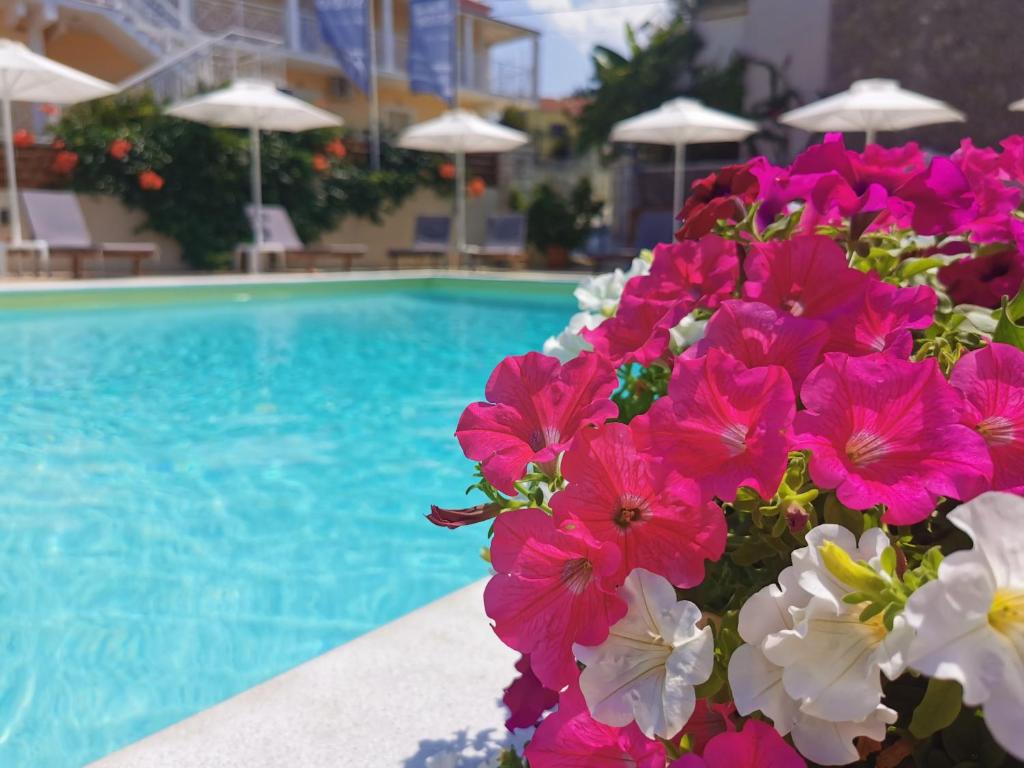 a bunch of pink flowers next to a swimming pool at The Mathraki Studios (Adult Only) in Arillas