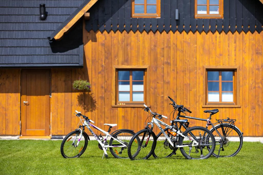Jazda na bicykli v okolí ubytovania Apartamenty Stara Morawa - Zew Natury