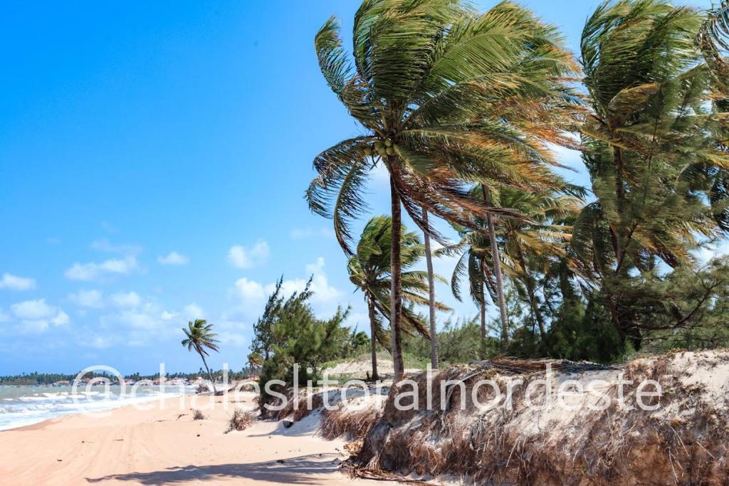  Apartamento em Maracajaú Beira Mar