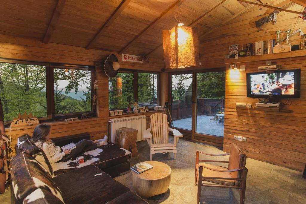 TV a/nebo společenská místnost v ubytování Guesthouse Šejn