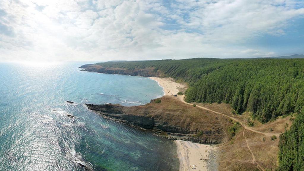 an aerial view of a beach and the ocean at Apart Hotel Apolonia Palace in Sinemorets