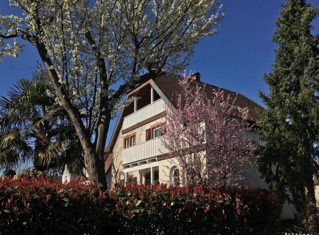 een huis met een bloeiende boom ervoor bij Ferienwohnung DAShaus in Rheinfelden