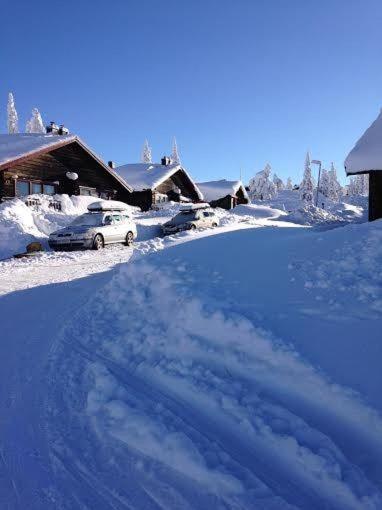 a snow covered yard with cars parked in front of a house at Ski-in ski-out Sälen Högfjället 4 plus 2 bäddar in Sälen