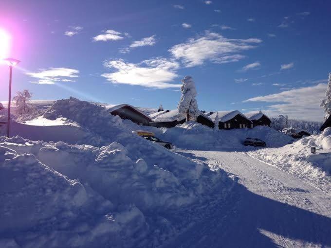 Fotografie z fotogalerie ubytování Ski-in ski-out Sälen Högfjället 4 plus 2 bäddar v destinaci Sälen