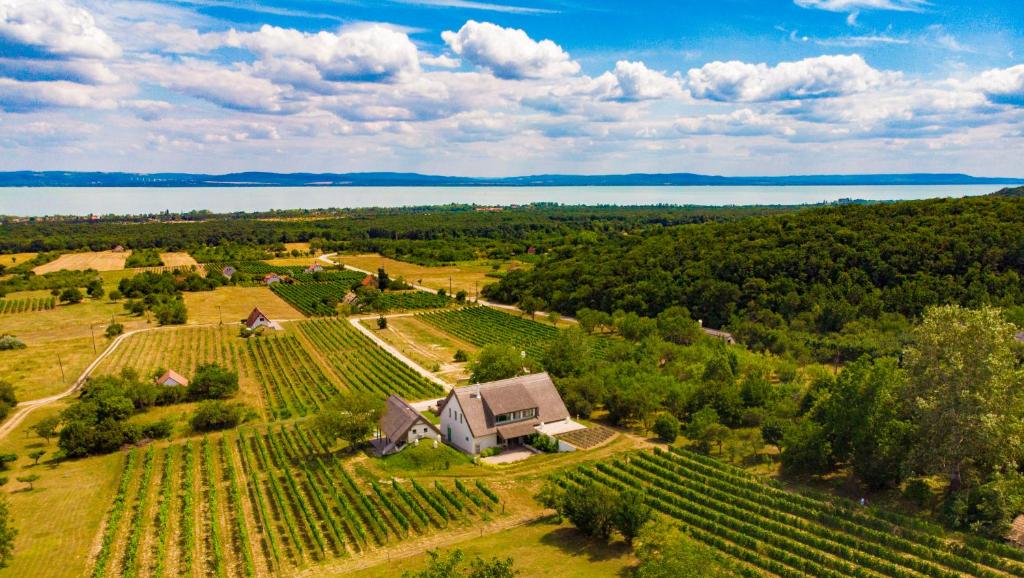 an aerial view of a vineyard with a house and a farm at Fürjes Udvarház in Vászoly