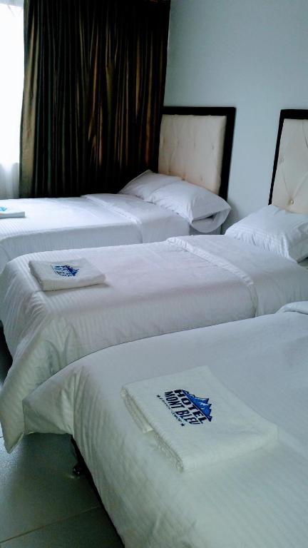 Postel nebo postele na pokoji v ubytování Hotel Mont Bleu