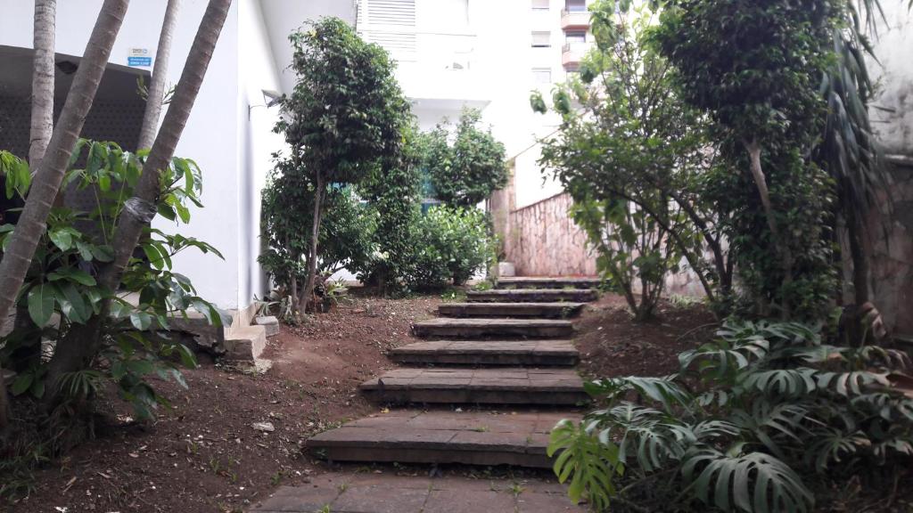  LA JOLLA SÃO PAULO - SP Lavanda