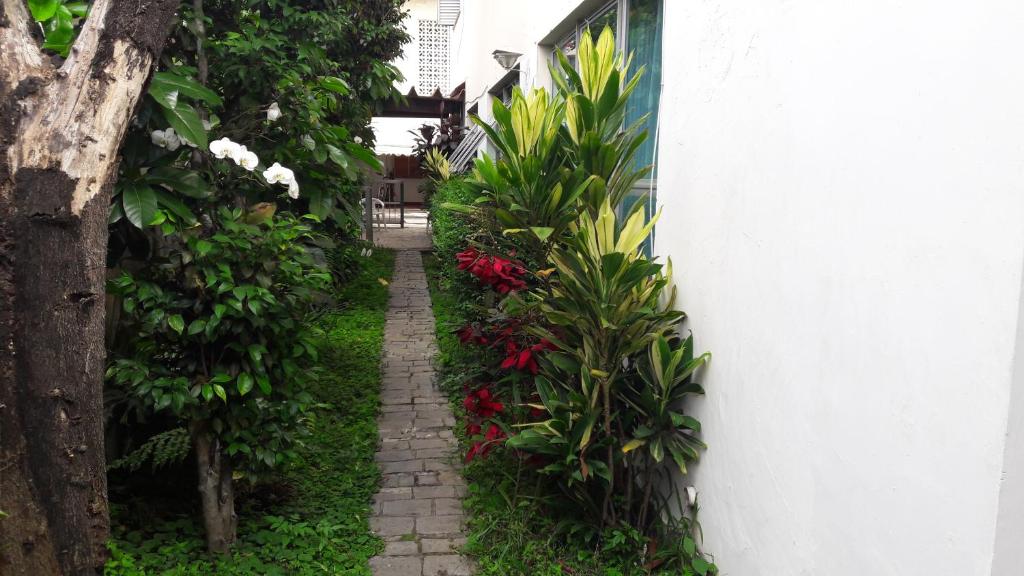 LA JOLLA SÃO PAULO - SP Lavanda