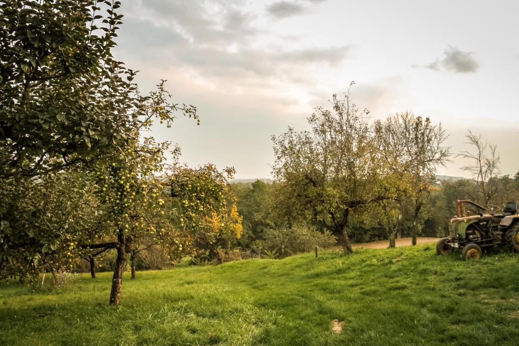Příroda nedaleko apartmánu