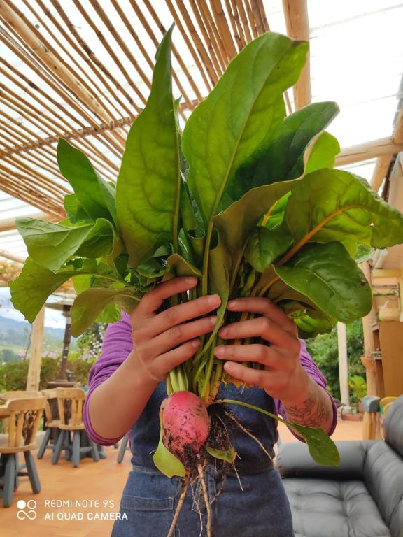 Finca Ecoturistica Macani - Proyecto Permacultural