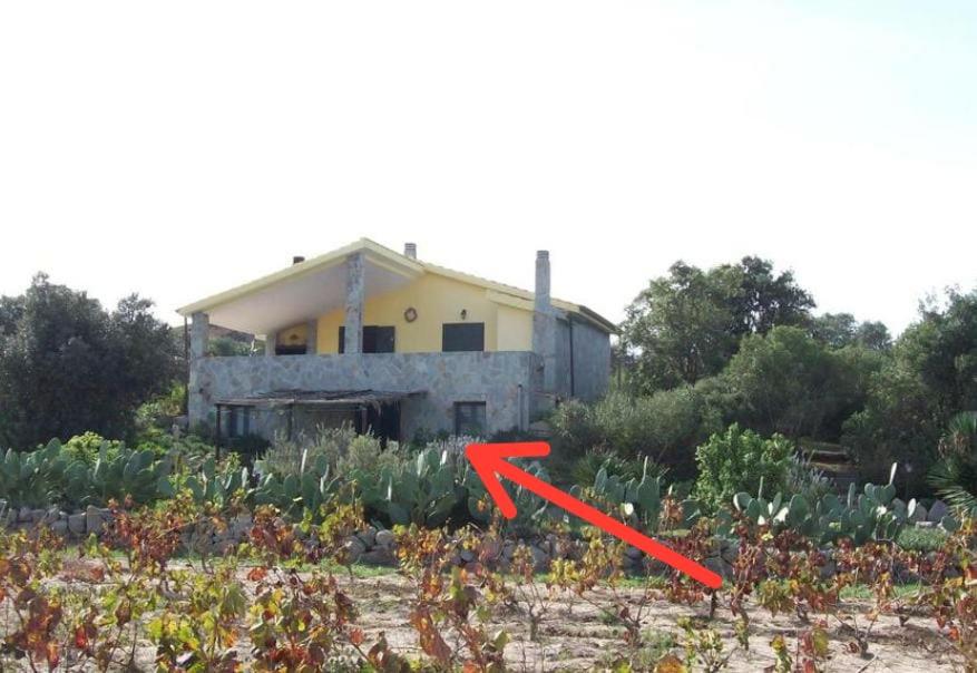 L'Oasi a Sant'Antioco - Splendide case vacanza vista mare