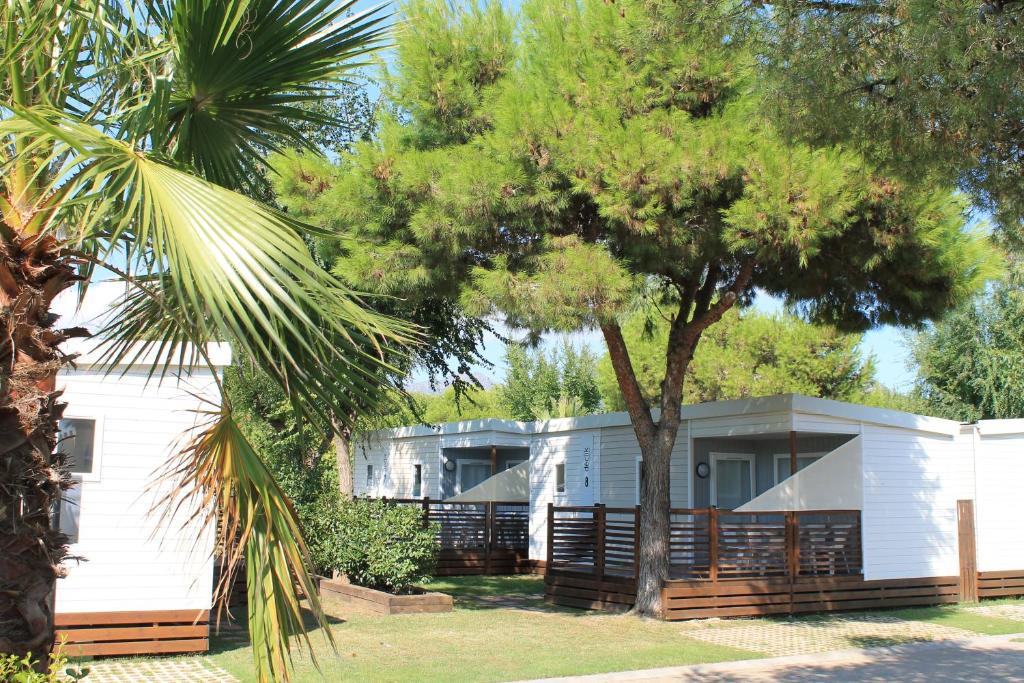 Zahrada ubytování Camping Rodas