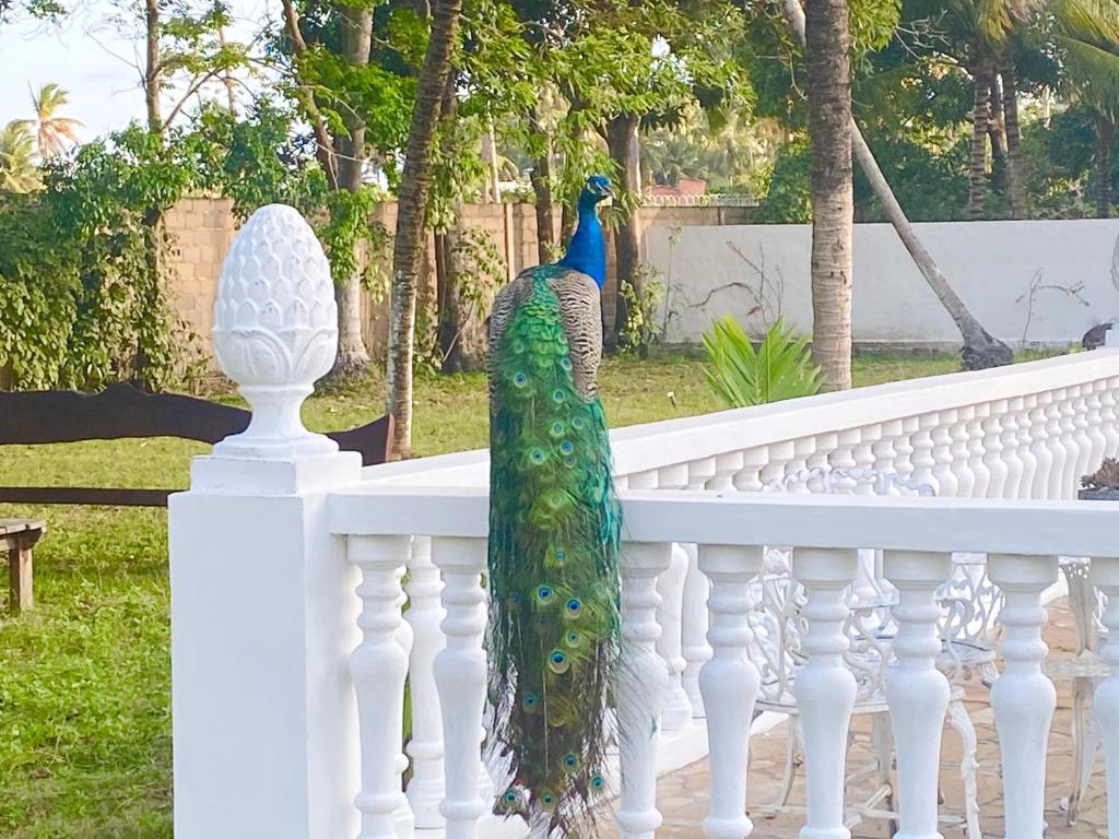  AQUALUNA POUSADA