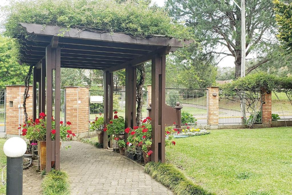 Resolut Temporada buganvilias  Resolut Temporada buganvilias