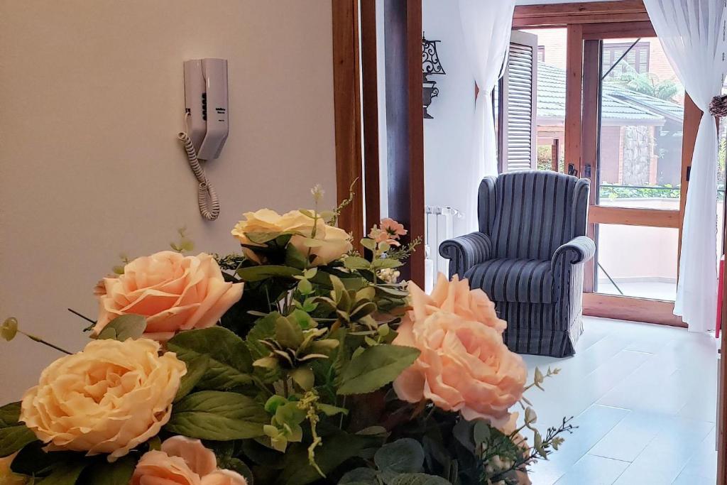 Resolut Temporada buganvilias  Resolut Temporada buganvilias