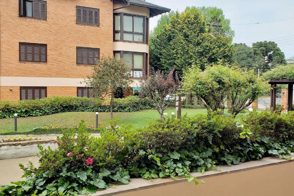 Resolut Temporada buganvilias  Resolut Temporada buganvilias