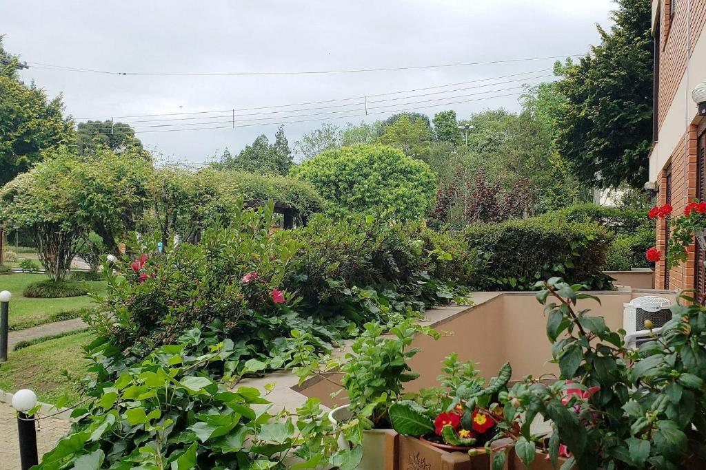 Resolut Temporada buganvilias  Resolut Temporada buganvilias