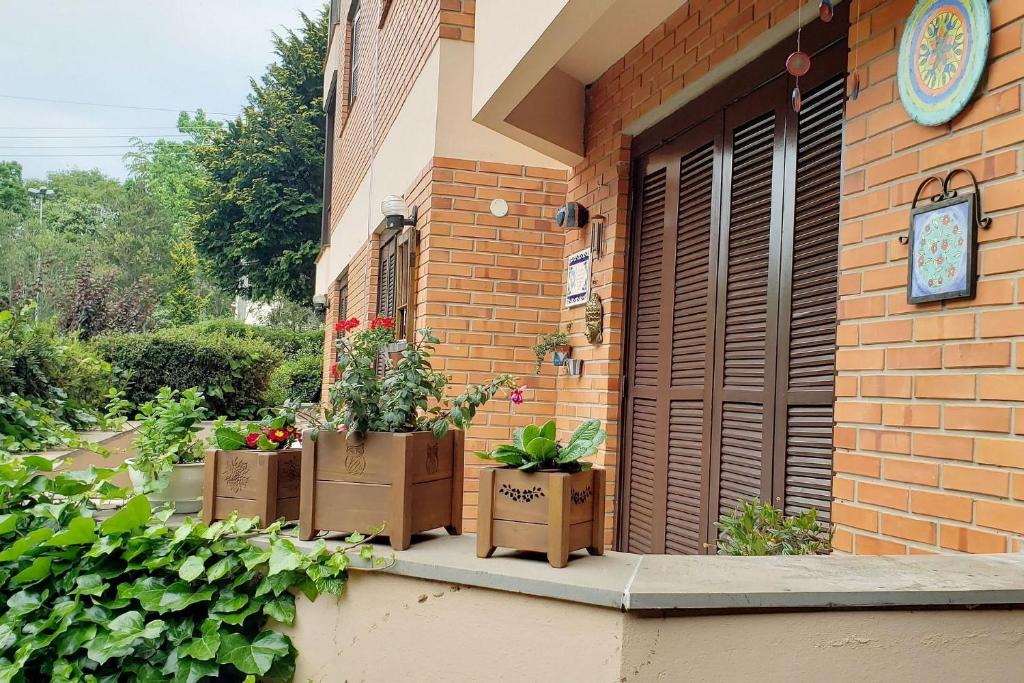 Resolut Temporada buganvilias  Resolut Temporada buganvilias