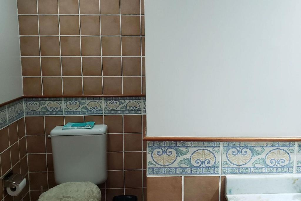 Resolut Temporada buganvilias  Resolut Temporada buganvilias