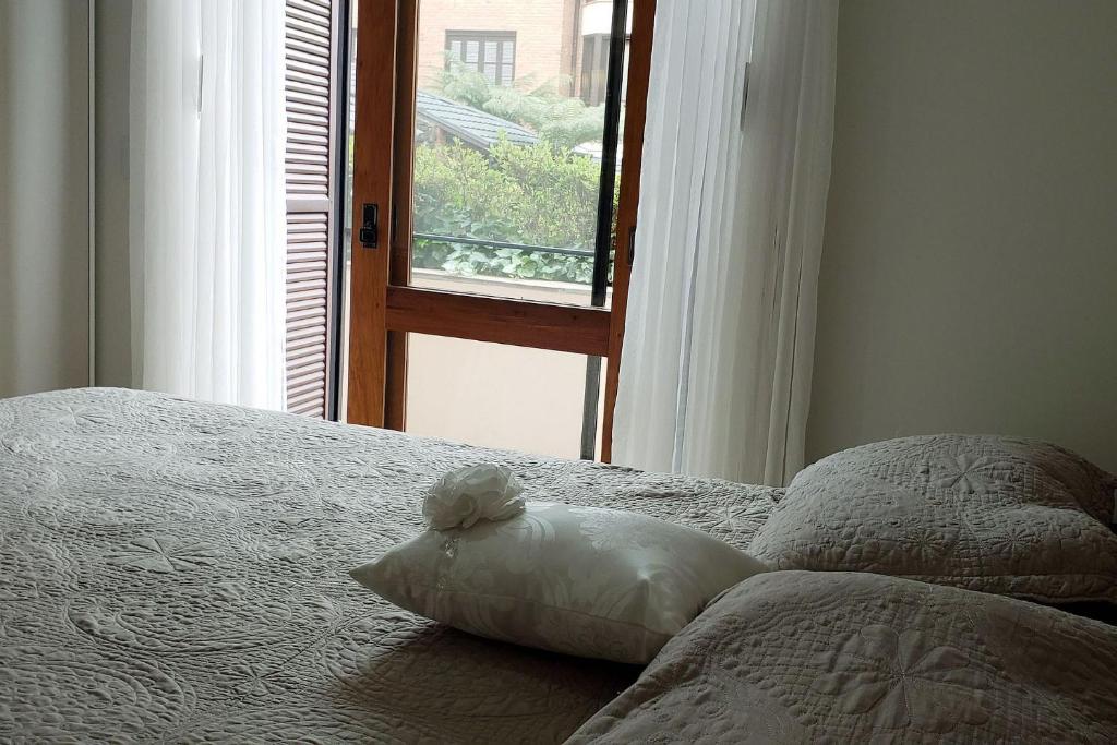 Resolut Temporada buganvilias  Resolut Temporada buganvilias