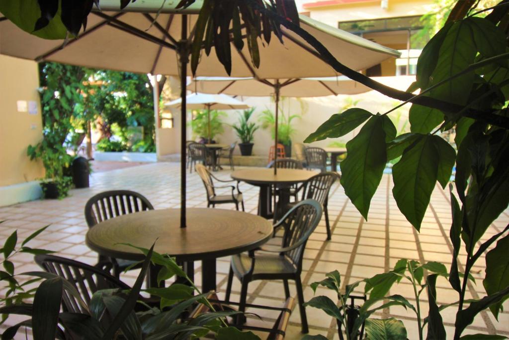 Zahrada ubytování Hotel Maya Tulipanes Palenque