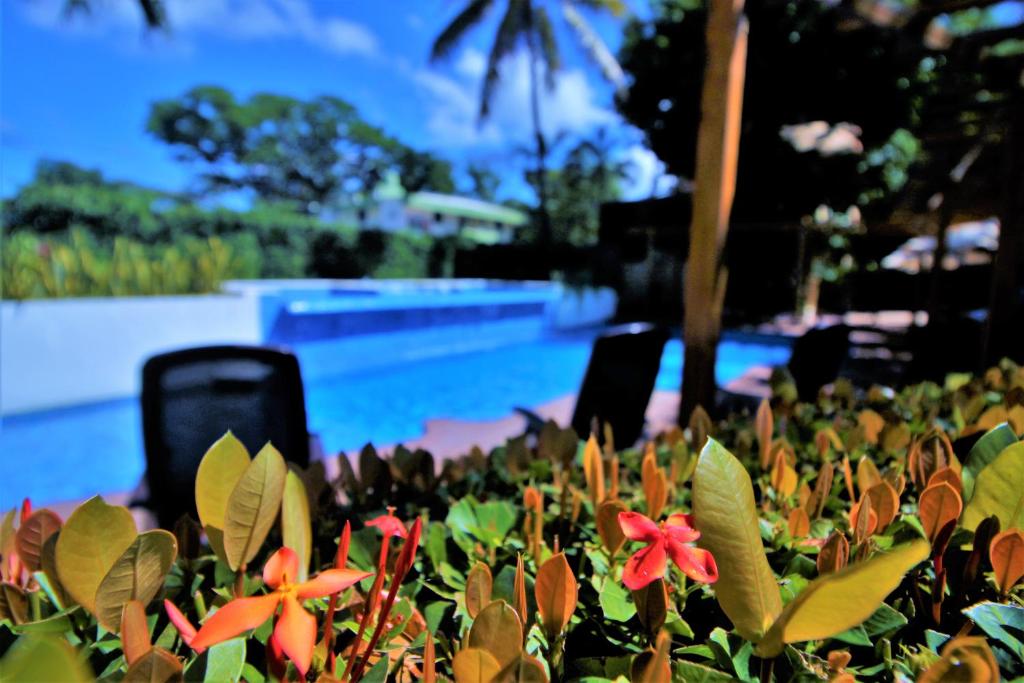 Bazén v ubytování Hotel Maya Tulipanes Palenque nebo v jeho okolí