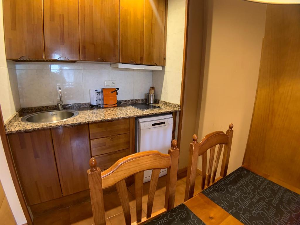 Kuchyň nebo kuchyňský kout v ubytování Apartamentos Los Lagos