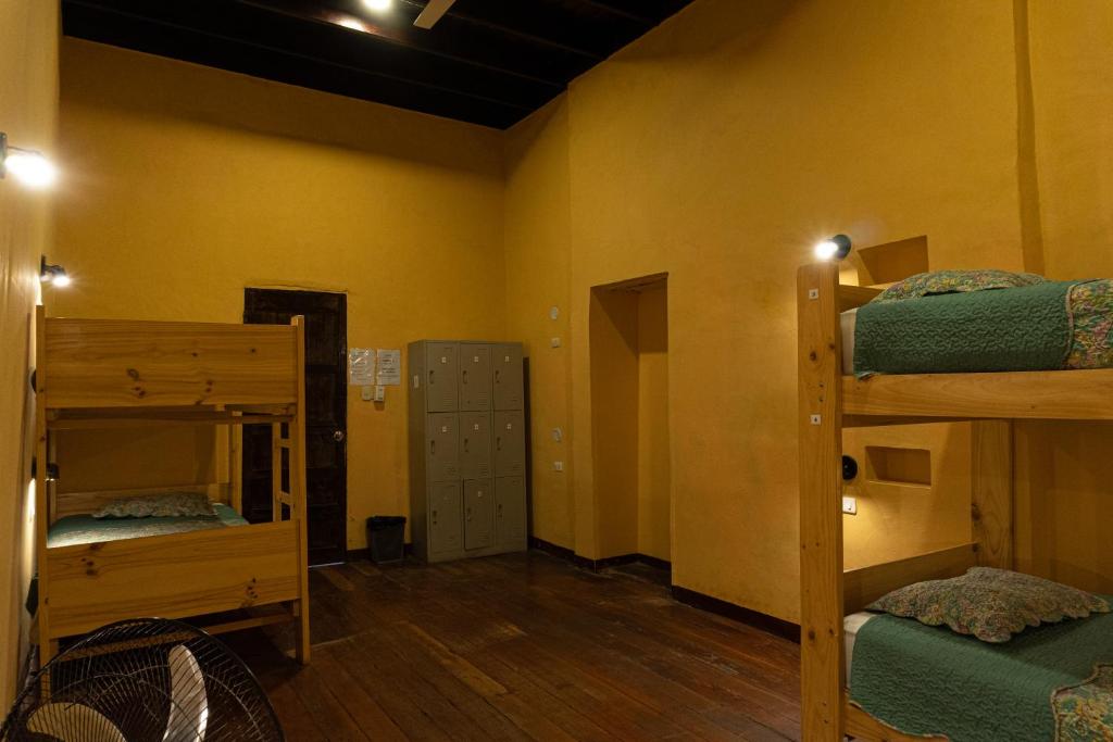 Wild Olive Guest House photo