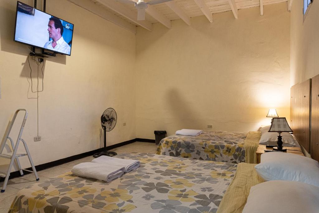Wild Olive Guest House photo