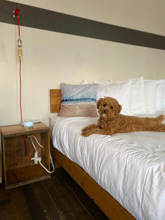 Postel nebo postele na pokoji v ubytování Ashore Hotel
