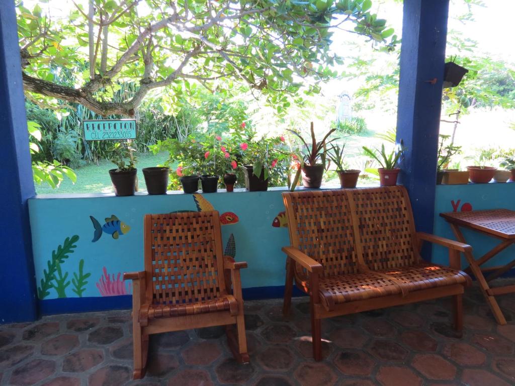 Fotografie z fotogalerie ubytování Eco Coco Loco by Rotamundos v destinaci Casitas