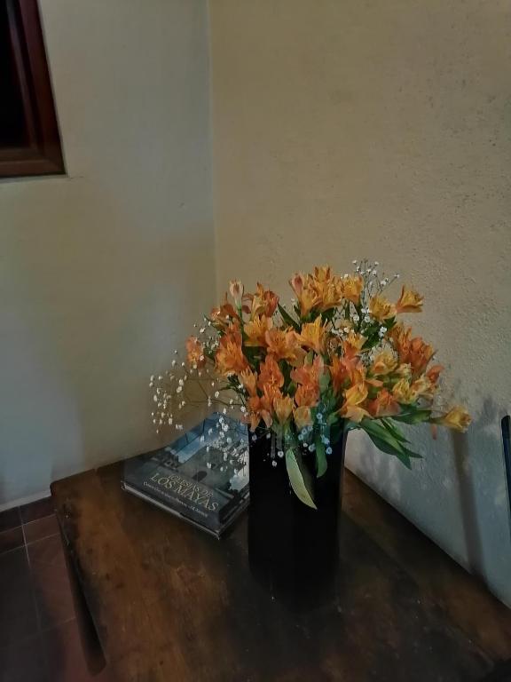 Fotografie z fotogalerie ubytování Posada Las Reynas v destinaci Mineral de Pozos