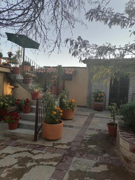 Zahrada ubytování Posada Las Reynas