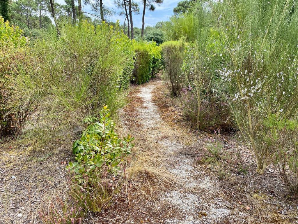 Gallery image of Cottage with a big idyllic garden at the lake in Lacanau