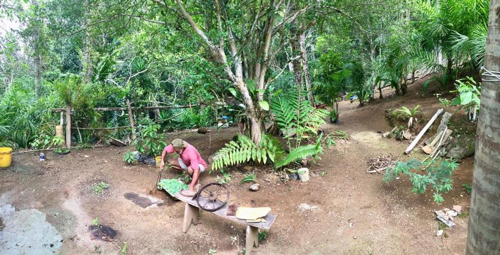  Sítio Beija Flor - Maravilhosa vista para o mar