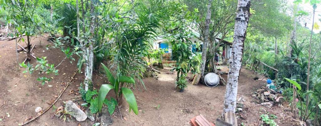  Sítio Beija Flor - Maravilhosa vista para o mar