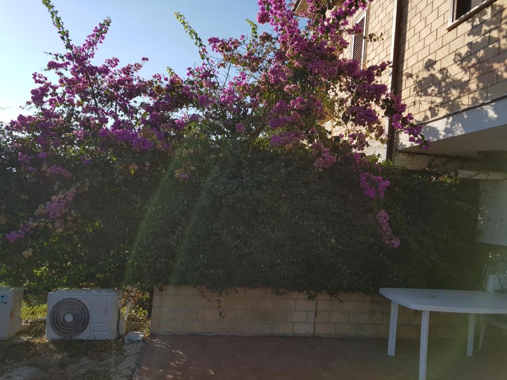 einen Busch mit lila Blumen neben einem Gebäude in der Unterkunft La Culla del Conte in Bucchianico