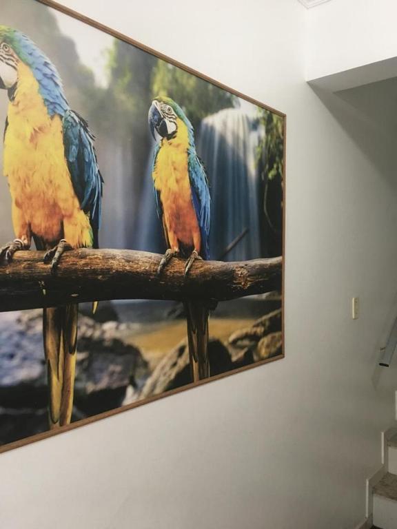  Apartamento 3 quartos de cobertura na Praia Grande em Ubatuba