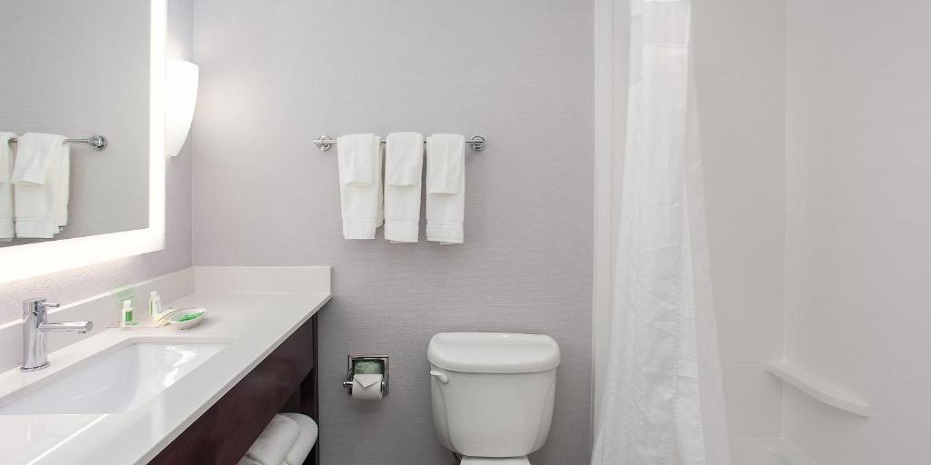 Holiday Inn Hotel & Suites Tallahassee Conference Center North, an IHG Hotel - Chambre King - Mobilité Accès/Audience Accessible