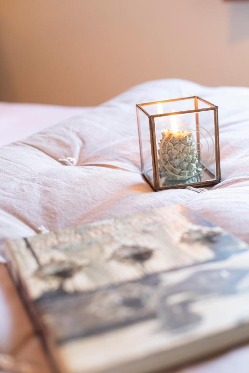 Apartamentos El Rincón de Usana Zona Zero - 6