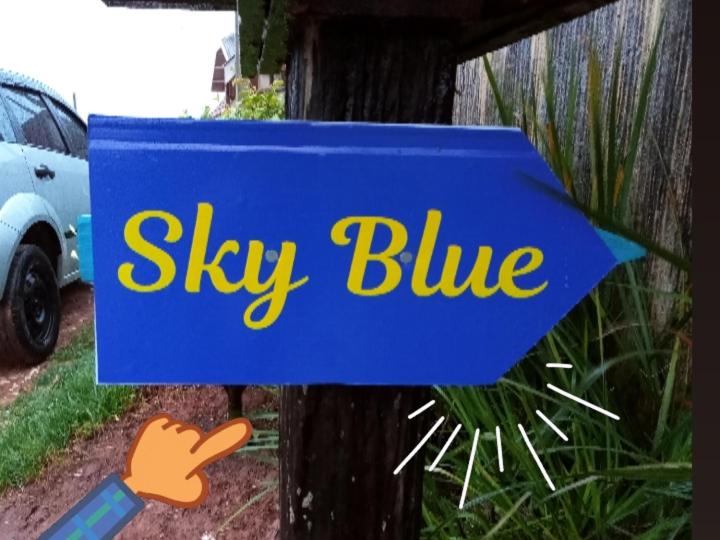  Sky Blue