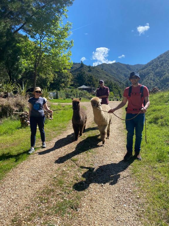 Hosté ubytování Alpacas Off Grid - Eco Cabin