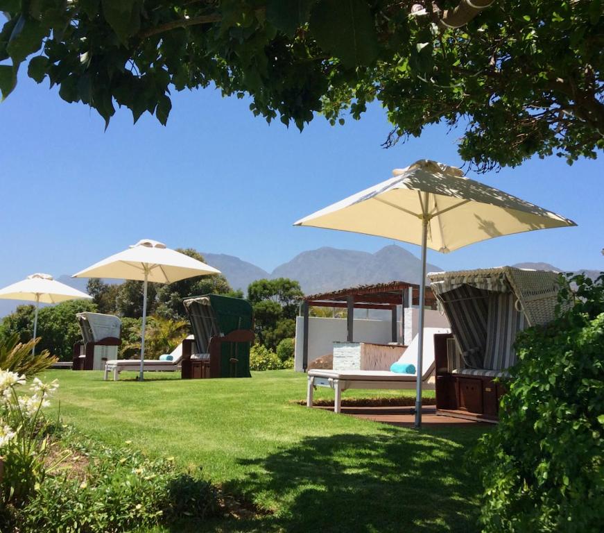 eine Gruppe von Stühlen und Sonnenschirmen auf einem Rasen in der Unterkunft Apricot Gardens Guesthouse in Gordonʼs Bay