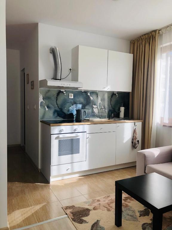 Kuchyň nebo kuchyňský kout v ubytování Temerso Studio-Apartment