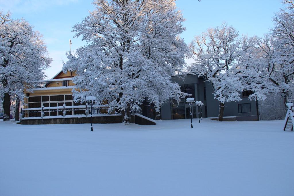 Villa Hotel Theresa v zimě