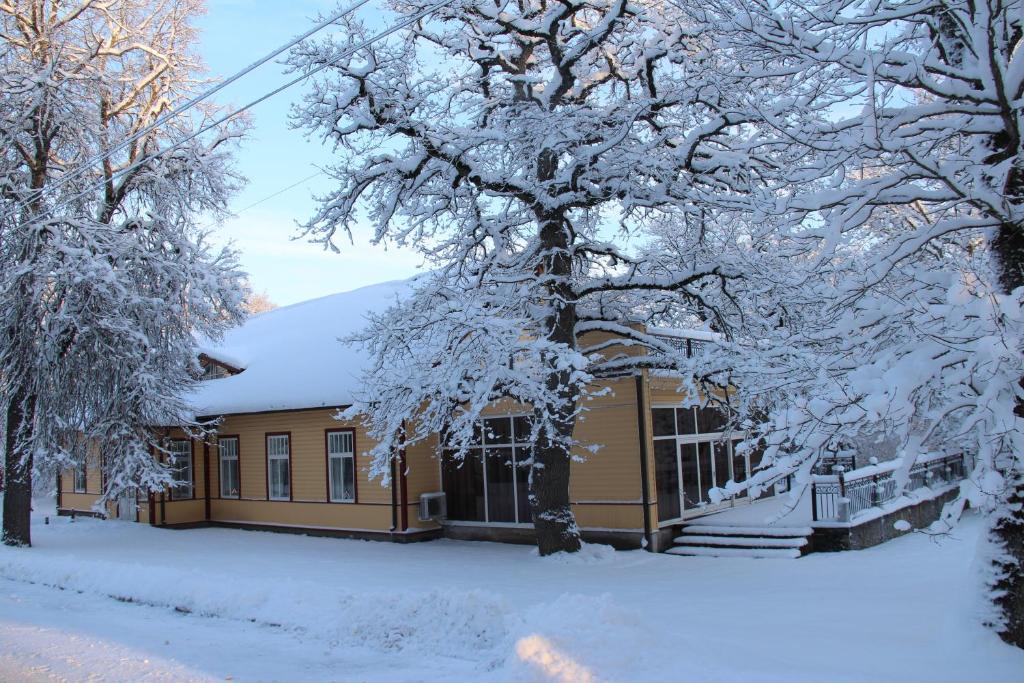 Villa Hotel Theresa v zimě