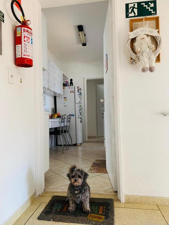  Guaruja/ Pitangueiras/ quarto tricama - 1 quadra praia