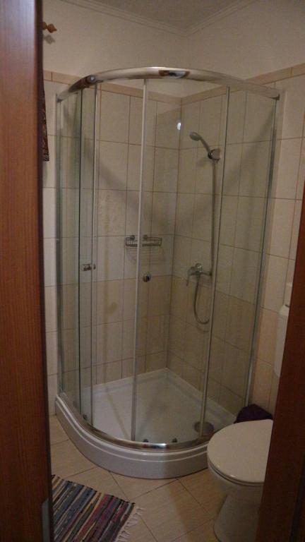y baño con ducha y aseo. en Gaál Vendégház, en Szentgotthárd